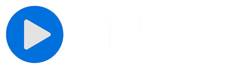 Logo VidNet